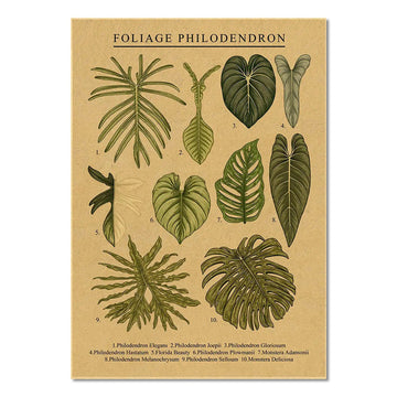Plakat z liśćmi monstera na papierze kraftowym