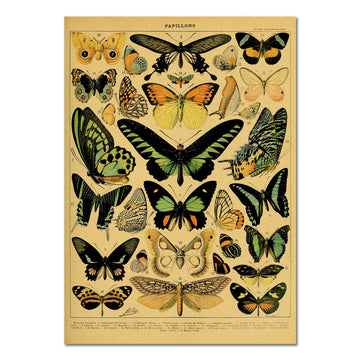 Plakat z papieru kraftowego Papillons