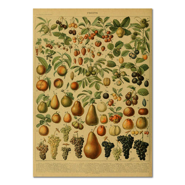 Plakat z owocami w stylu vintage na papierze kraftowym