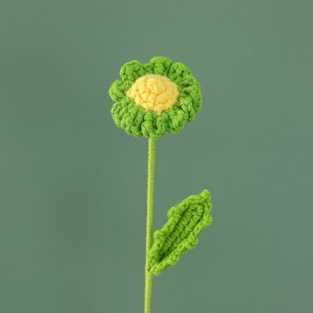 kwiaty Crocheta z stokrotek
