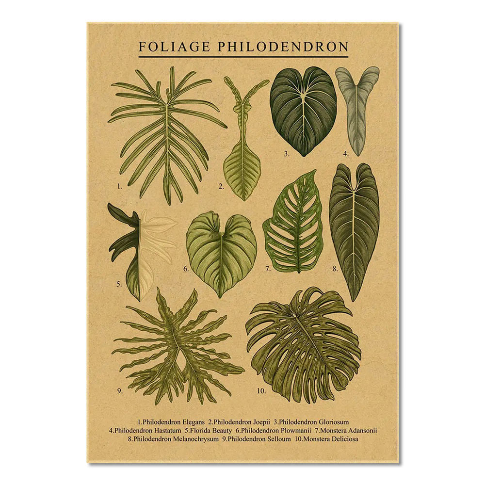 Plakat z liśćmi monstera na papierze kraftowym