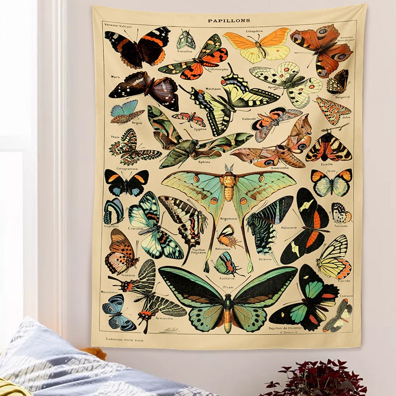 Drzeworyt Botaniczny Papillon