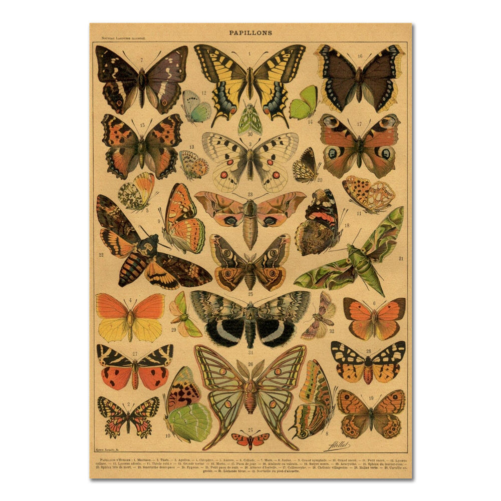 Plakat z papieru kraftowego Papillons